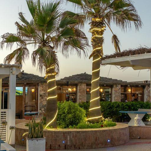 Mimid Dunes Beach Hotel Mirleft Kültér fotó